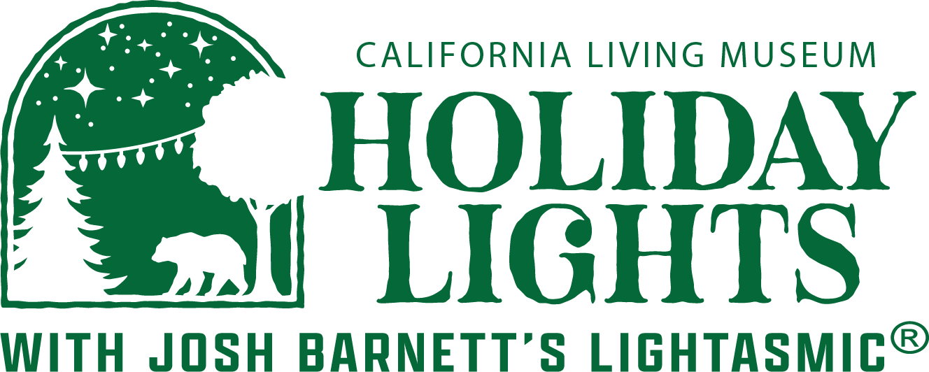 Holiday Lights logo